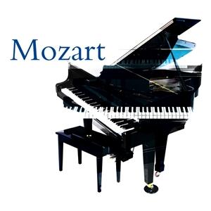...and of course we have Mozart & the gang