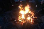 Toasting Marshmallows