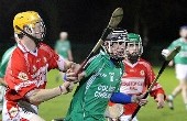 Victory for Senior Hurling Team